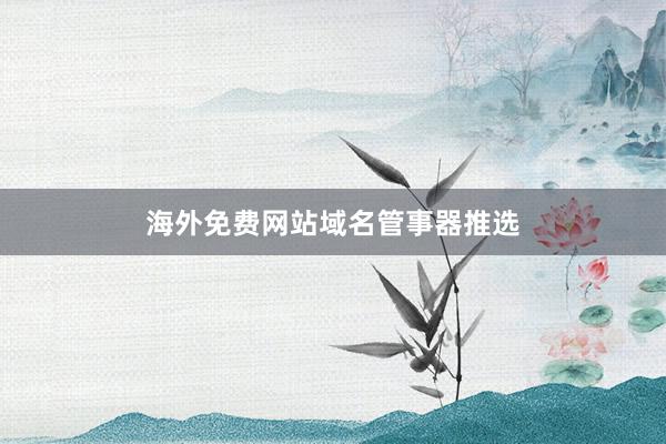 海外免费网站域名管事器推选